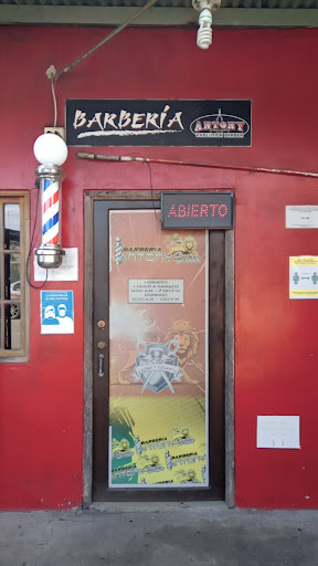 Barberia Antony Evolution