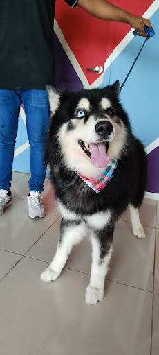 Veterinaria Mia Vet