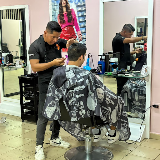 Sulani Barber (sección)