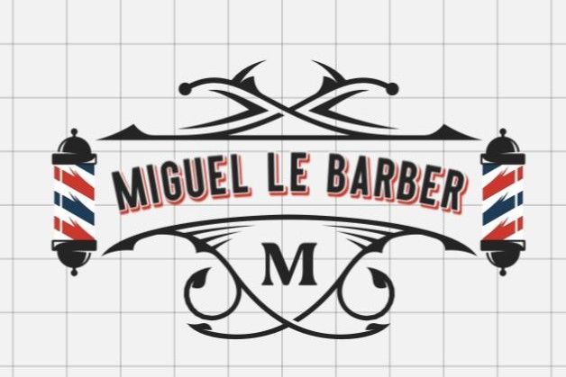 Miguel Barber opinión análisis | Visión experta y reseña completa