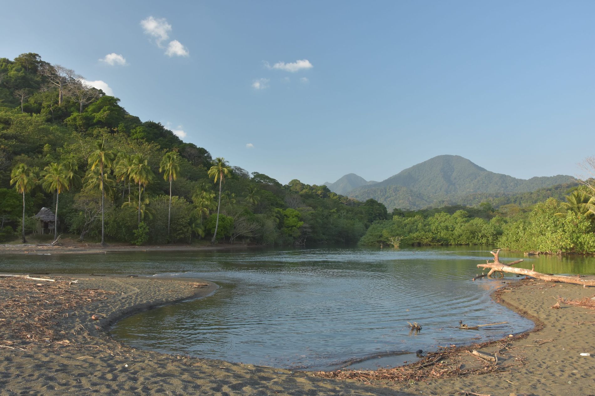 Selva del Darién: peligro y travesía en la frontera colombiana